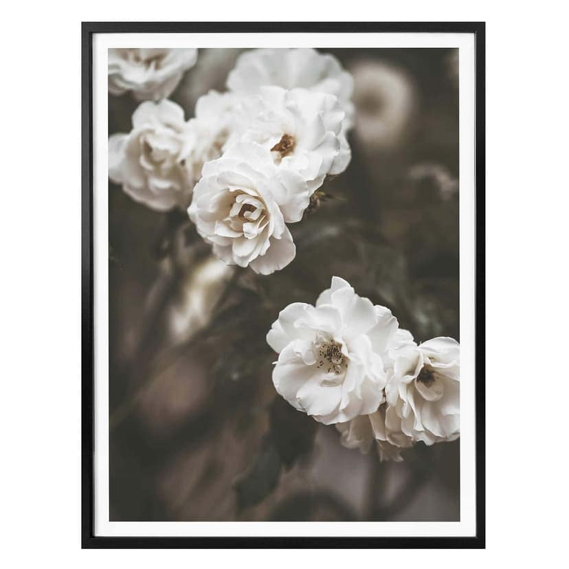 Plakat Annie - Louise Bugnet