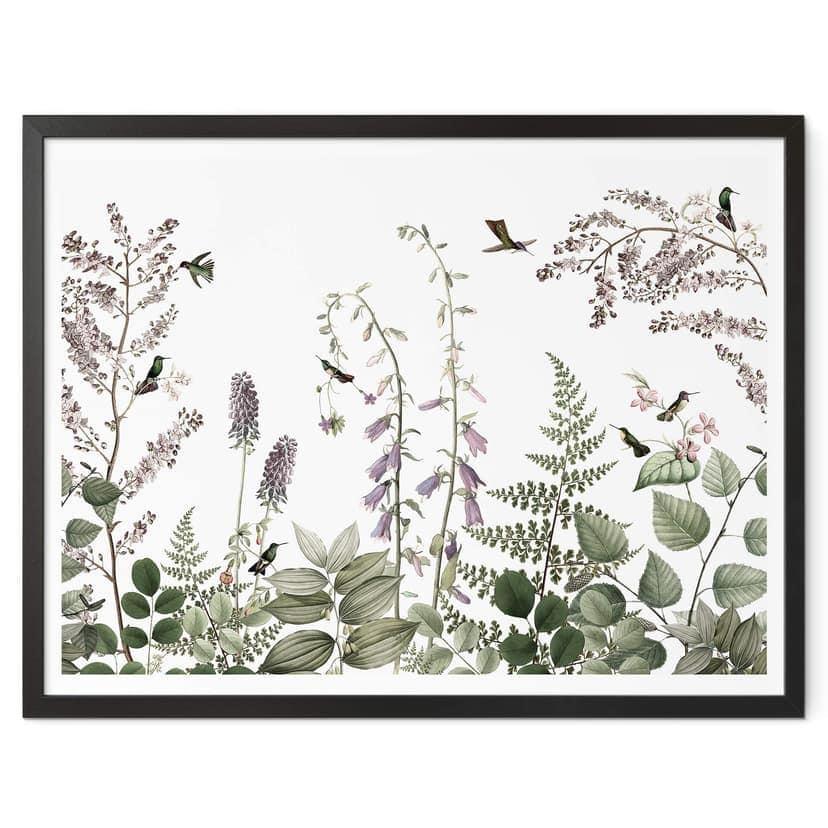 Plakat Sir Edward - Kolibry w ogrodzie
