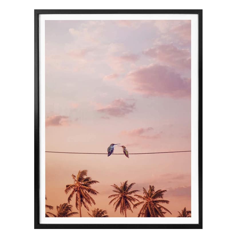 Plakat Loose - Zakochane kolibry