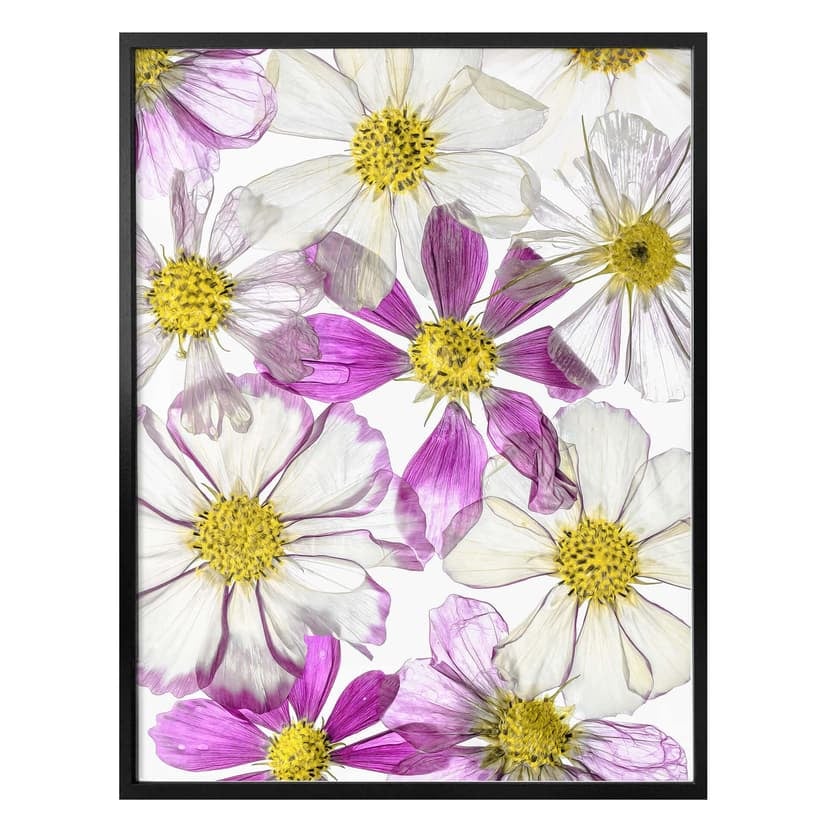 Plakat Disher - Utrzymanie lata